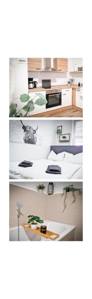 Grosszuegige Altstadtwohnung Lara Fuer 6 Personen Weissenfels Ngoại thất bức ảnh